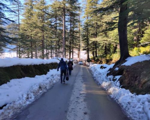 Shimla Manali Tour